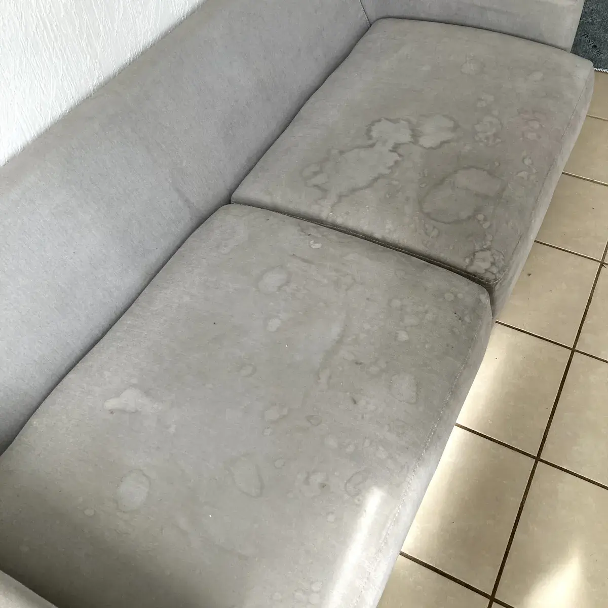 Antes — Sofá de 3 Plazas con Manchas Difíciles