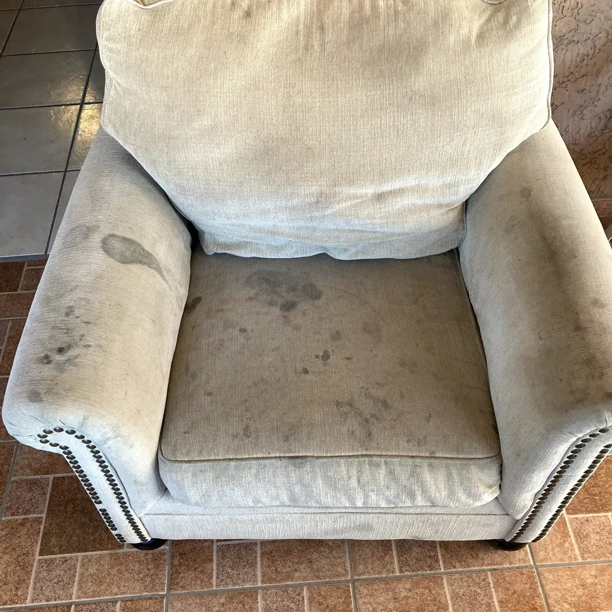 Antes — Sillón Individual + Limpieza de Manchas Orgánicas